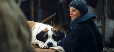 Se lanzó el tráiler de 'Barry & Me', una película suiza que presenta perros San Bernardo.