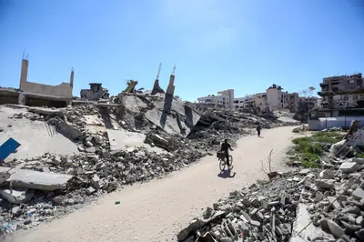 Open Letter Urges Venice Film Festival to Address Palestine-Israel Conflict