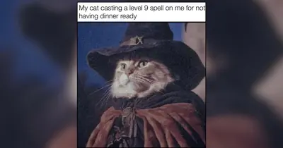 Cats Embrace the Spirit of Fall with Memes for Halloween