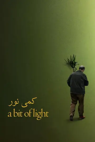 A Bit of Light
